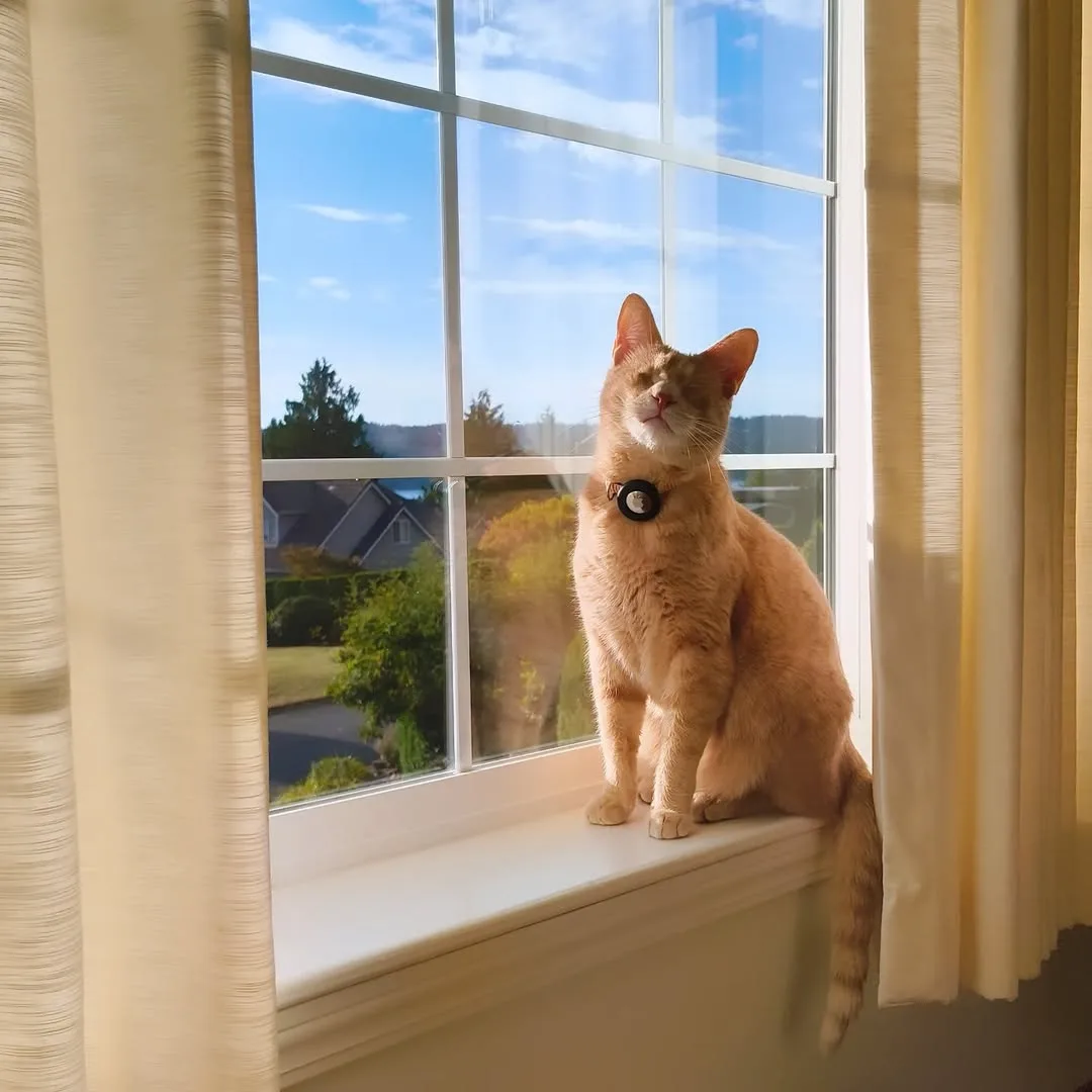 George getting a little extra sunshine.