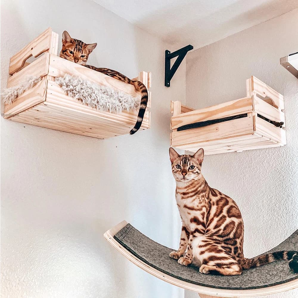 Modern Floating Wood Cat Perch